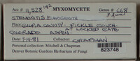 Image Associated With the Occurence